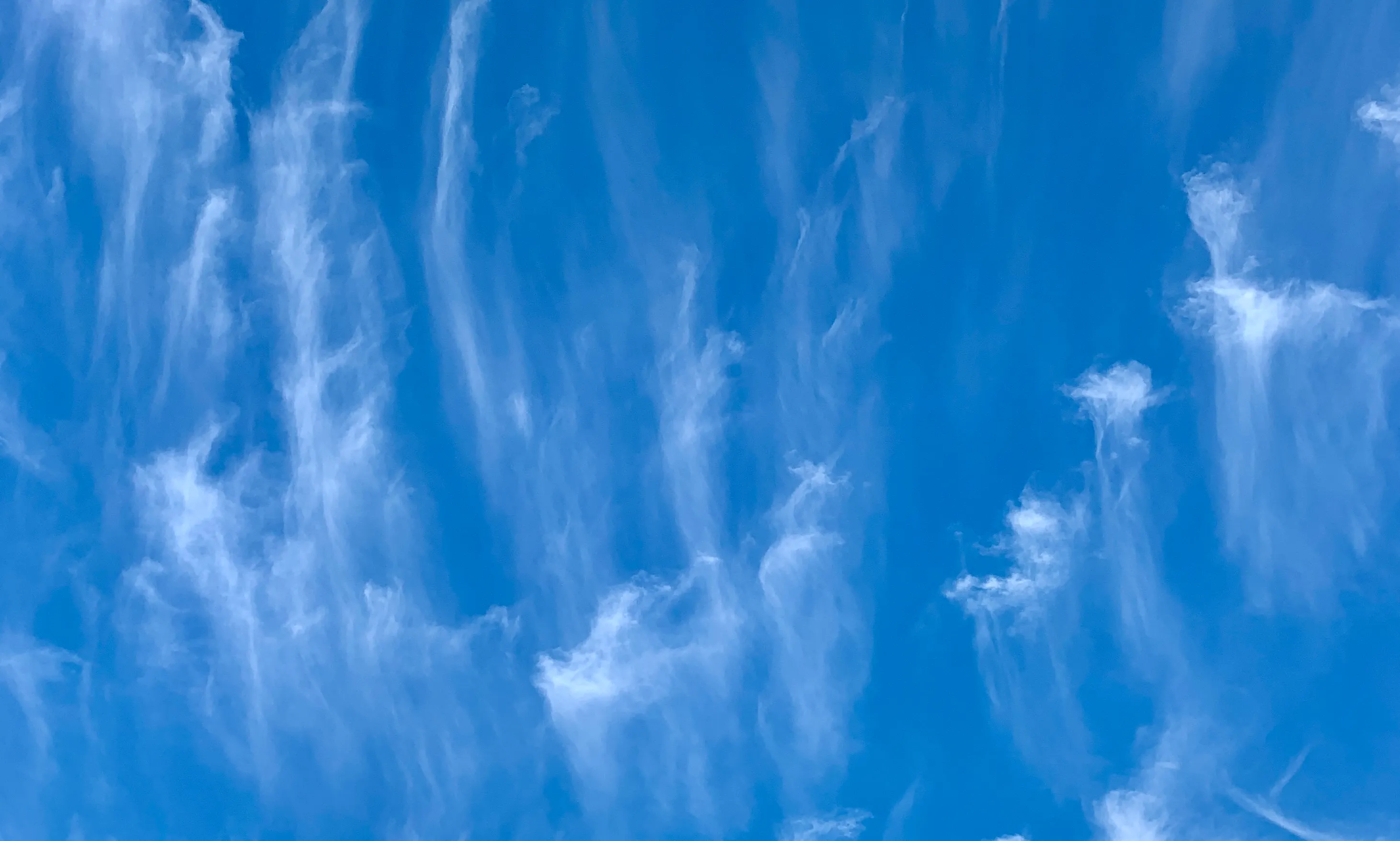 Santa Maria Maior in Lisbon