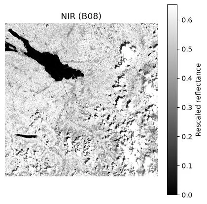 nir-band-image