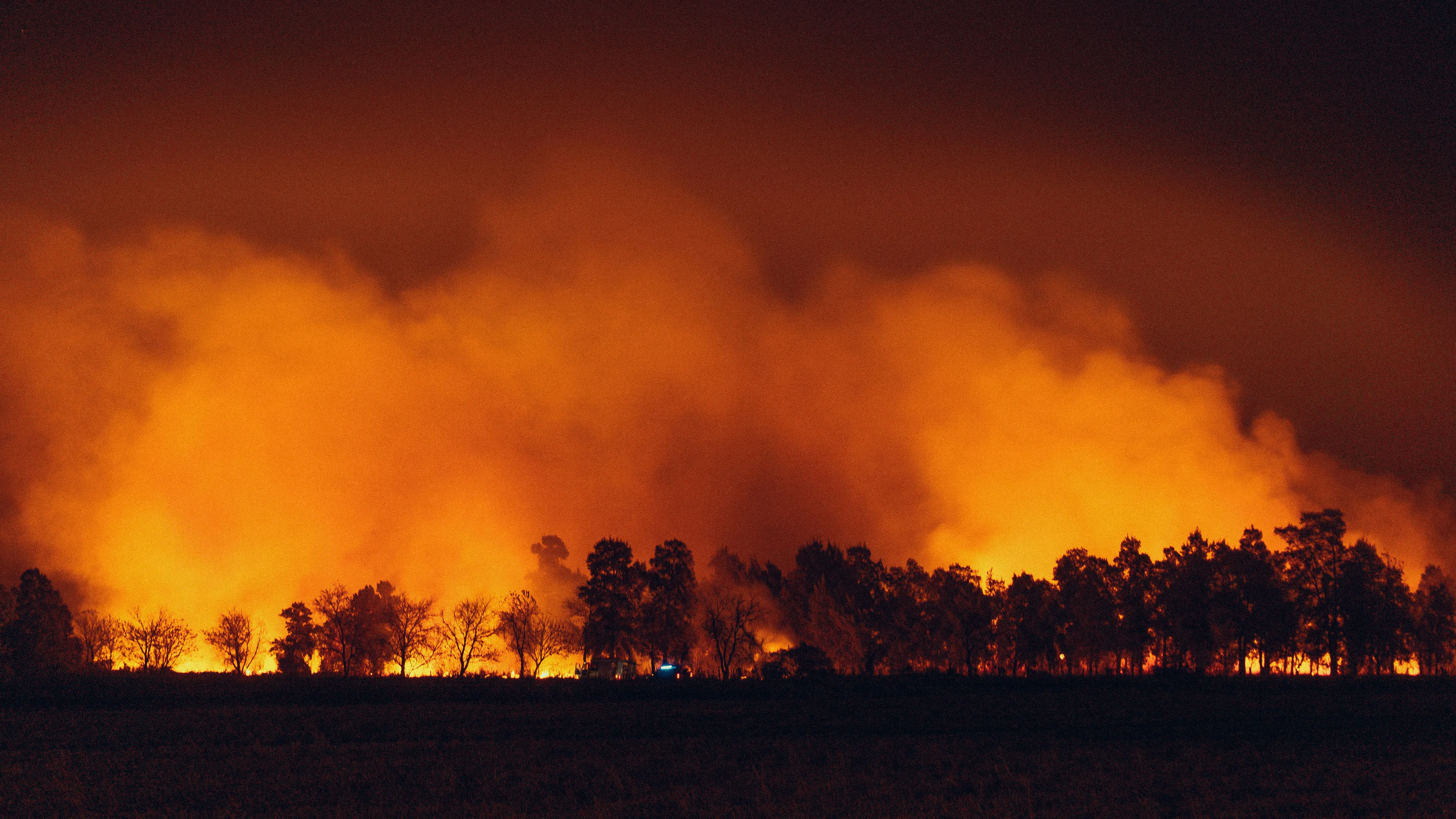 Chaco Forest Fire